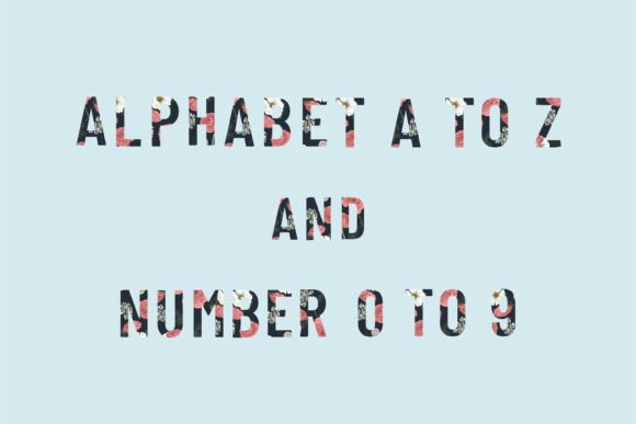 Alphabet and Number Illustrations: A Designer’s Review