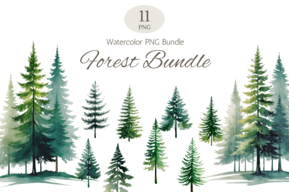 Watercolor Forest Trees PNG Bundle: Illustrations